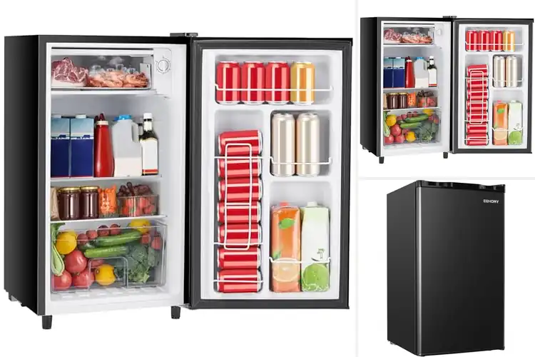 Detailed view of 10 Best Energy-Efficient Mini Fridge: Save Money Now