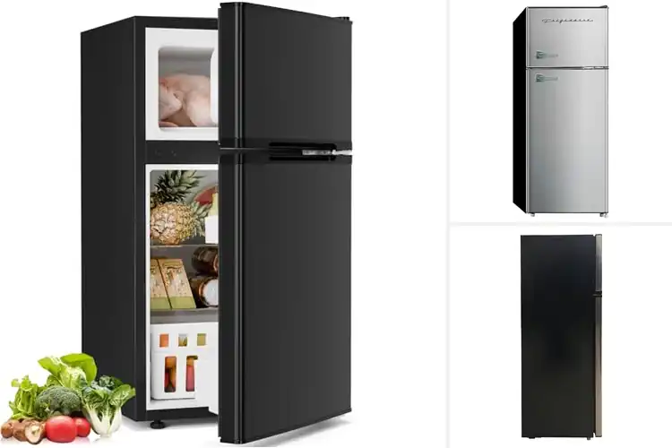 Detailed view of 10 Best Freezer Fridges for Small Spaces