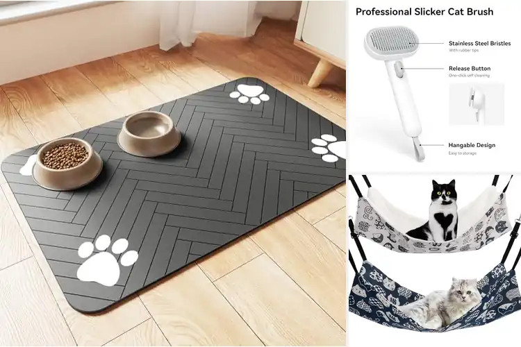 Detailed view of Best Pet Accessories For Cats