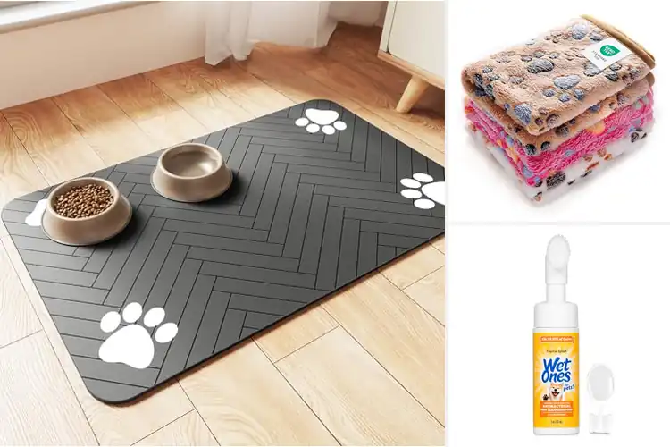 Detailed view of Best Pet Accessories For Dogs