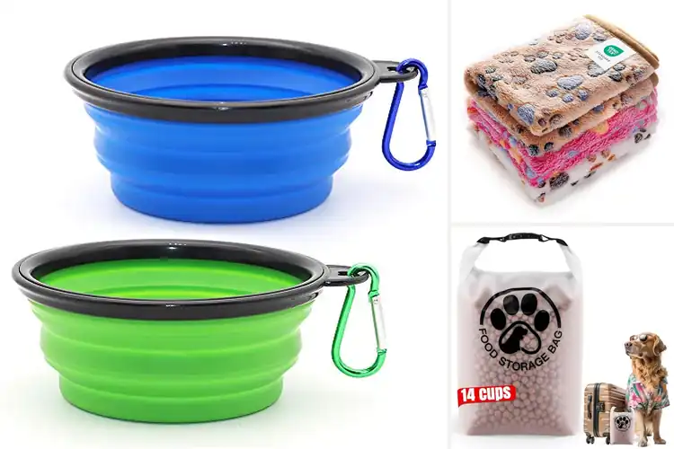 Detailed view of Best Pet Travel Accessories