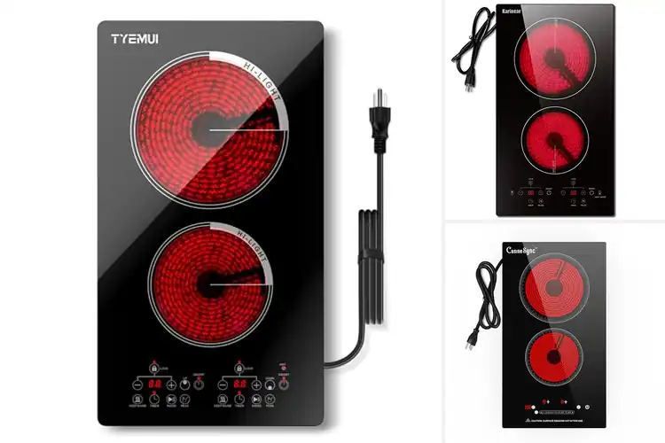 Detailed view of Best Plug In Electric Cooktop 120v