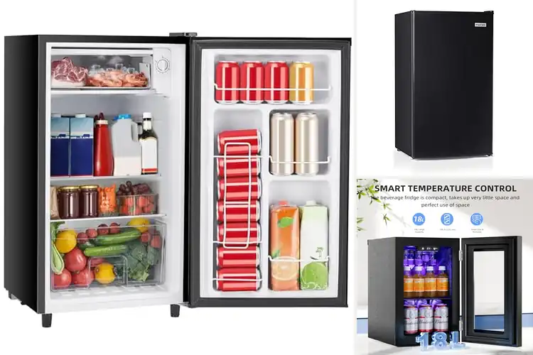 Detailed view of 10 Best Quiet Mini Fridge: User-Tested Reviews