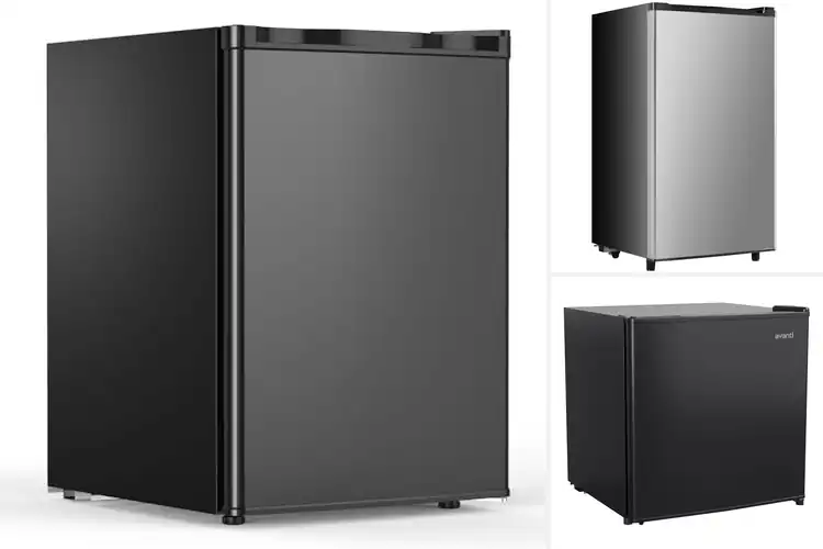 Detailed view of Best Single Door Compact Fridge With Removable Shelves