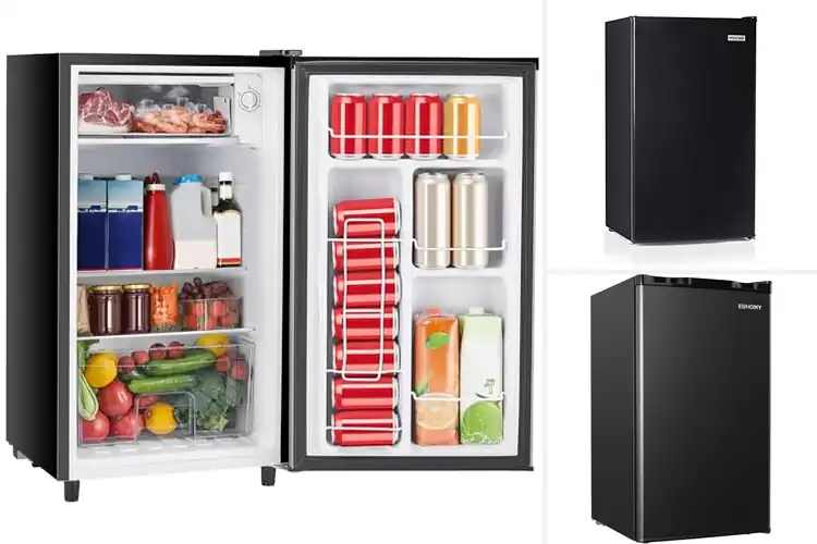 Detailed view of 10 Best Single Door Fridges: Compact & Reliable