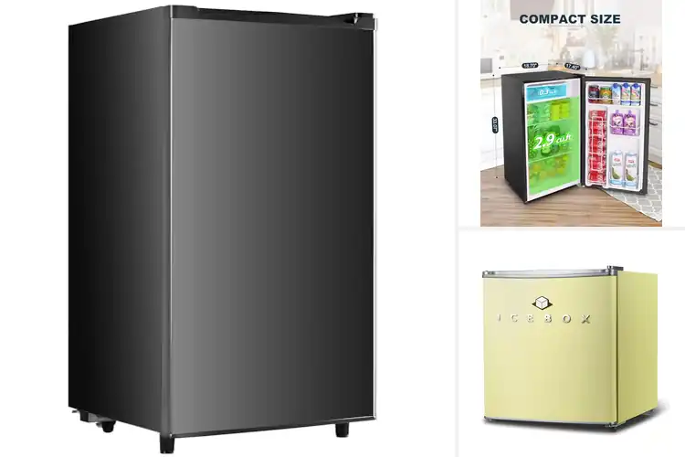 Detailed view of Best Single Door Mini Fridge Space Saver